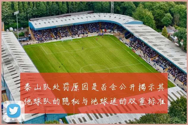 泰山队处罚原因是否会公开揭示其他球队的隐秘与地球迷的双重标准