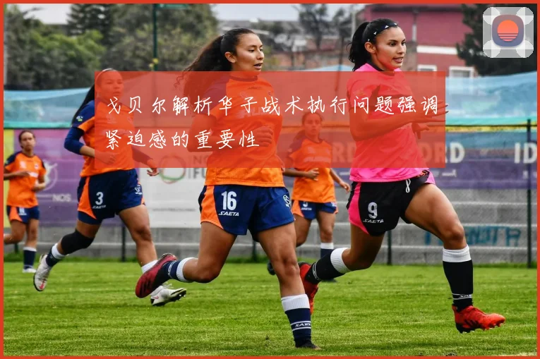 戈贝尔解析华子战术执行问题强调紧迫感的重要性