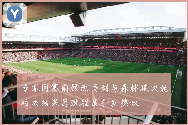专家团赛前预测马刺与森林狼次轮对决结果悬殊程度引发热议