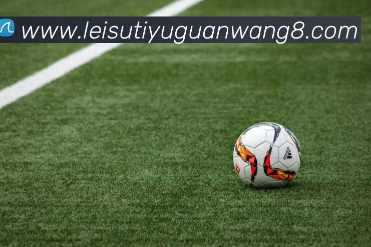 雷速体育官网发展历程